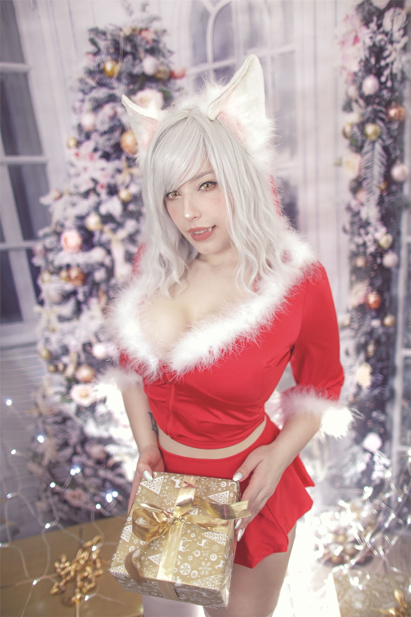 Pialoof-Christmas-Hanekawa ontology(17)